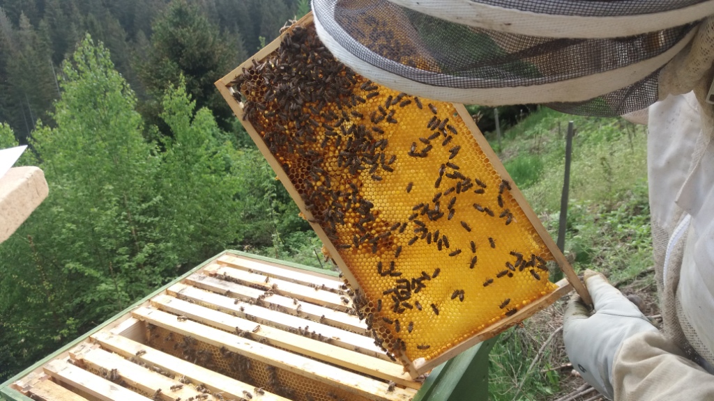 20180506_141107-1.jpg