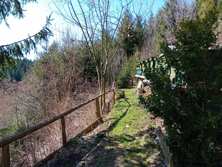 Galerie_104730
