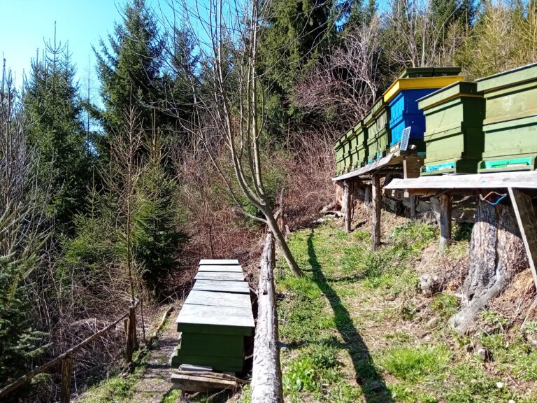 Galerie_105027