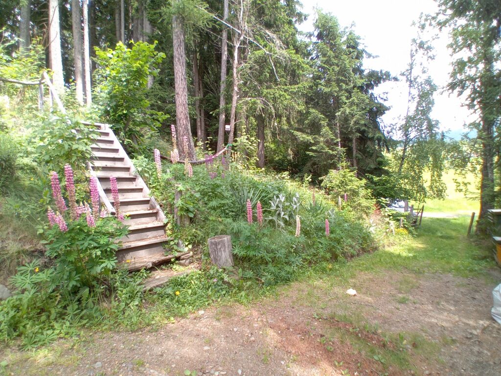 Galerie_113501