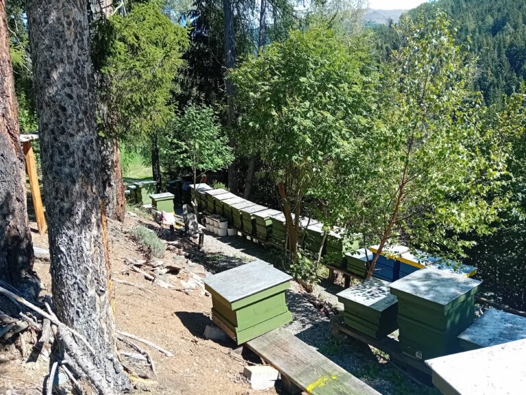 Gallery__v20260906_124610